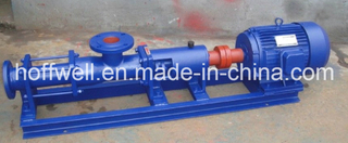 Serie G de bomba de rotor (G50-1)