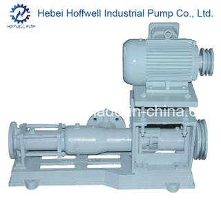 Bomba de tornillo helicoidal de un solo rotor