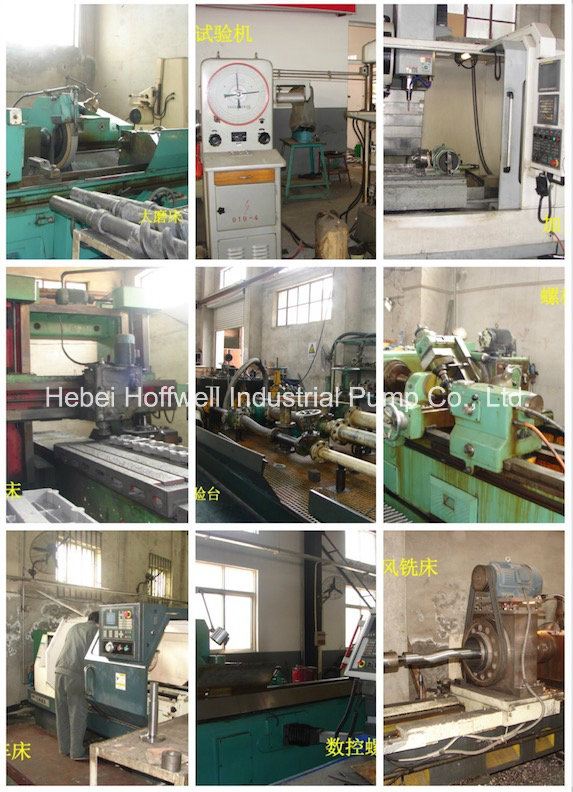 CE aprob&oacute; la bomba de aceite pesado de tornillo m&uacute;ltiple horizontal