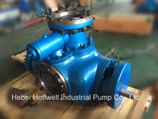 Aprobado por la CE W. V Bonemann Twin Screw Pump