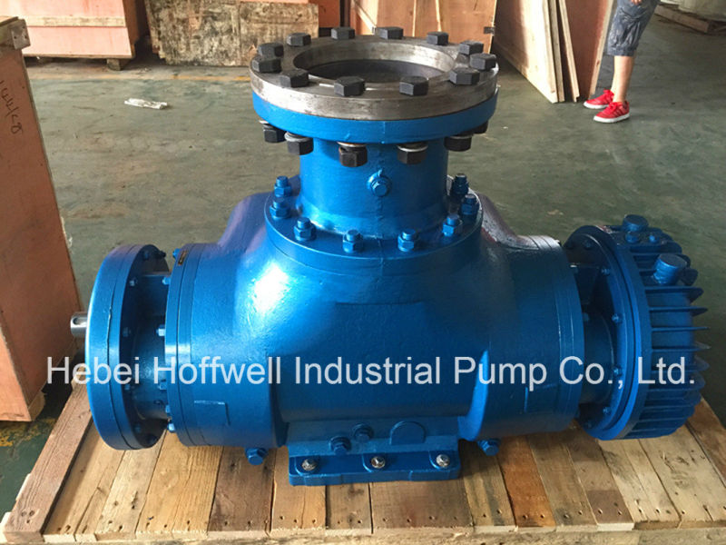 Aprobado por la CE W. V Bonemann Twin Screw Pump