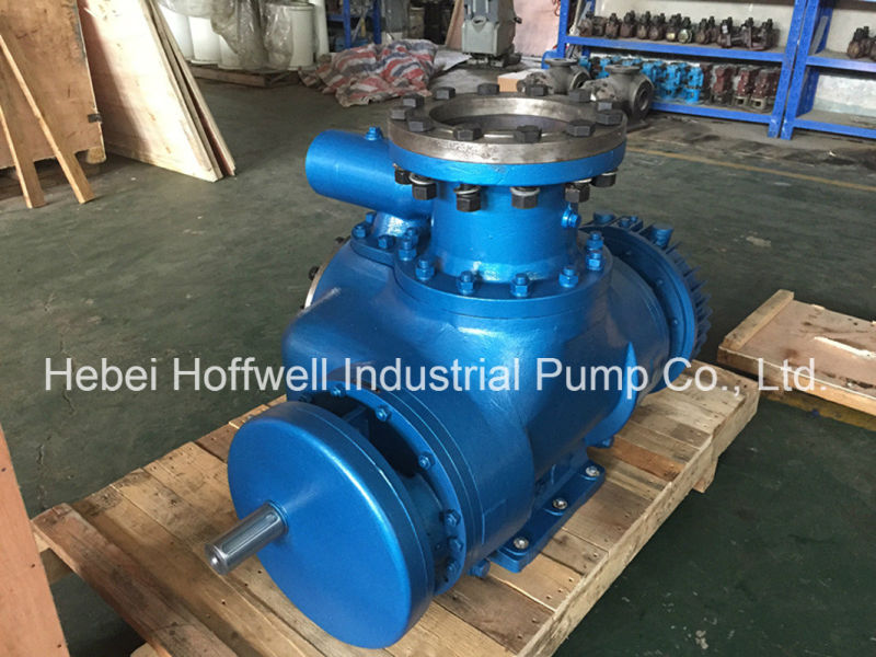 Aprobado por la CE W. V Bonemann Twin Screw Pump