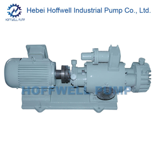 2W. W 2.8-24 Bombas de doble tornillo